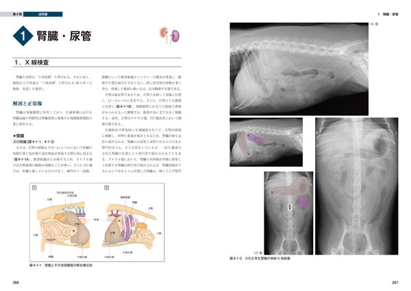 犬と猫のベーシック画像診断学 腹部編 獣医放射線学教育研究会(編集
