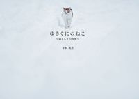 ゆきぐにのねこ　～猫と人々の四季～ 寺本成貴(著/文) - 出版ワークス